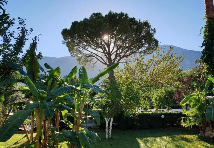 Gokcen Apartments Oludeniz Exterior foto